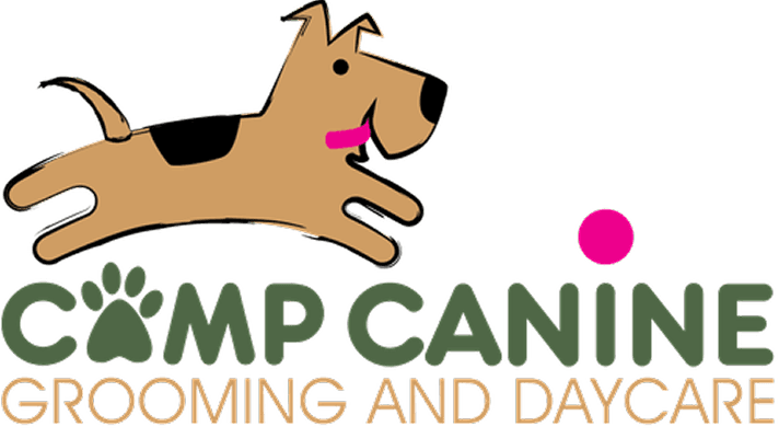 Project 1