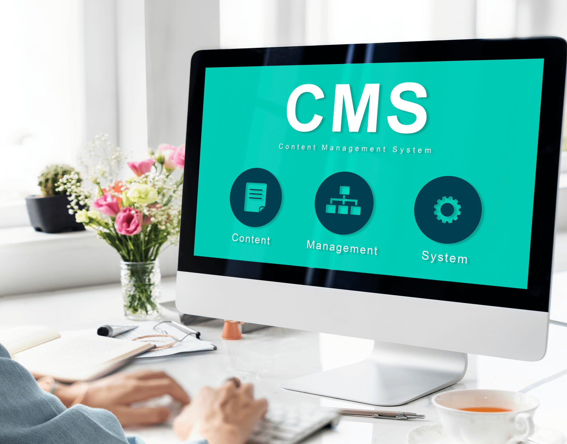 CMS Development