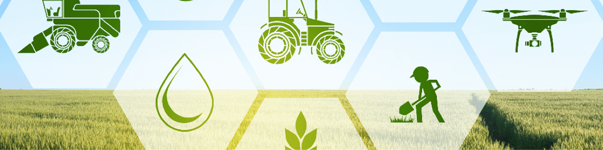 Agriculture